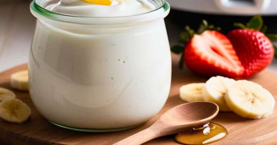 Yogurt casero con sartén de arroz: práctico